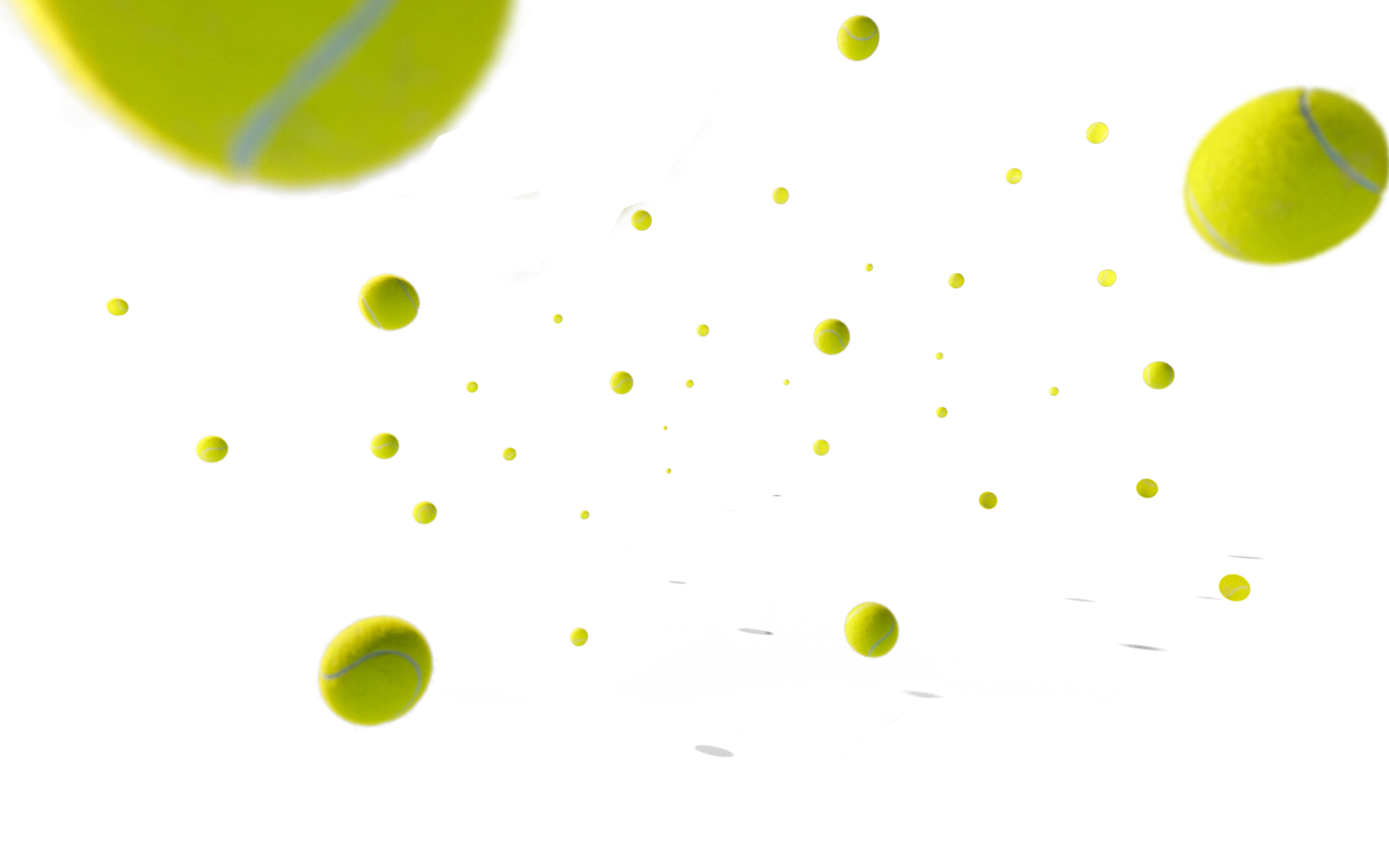 Beschreibung des Bildes